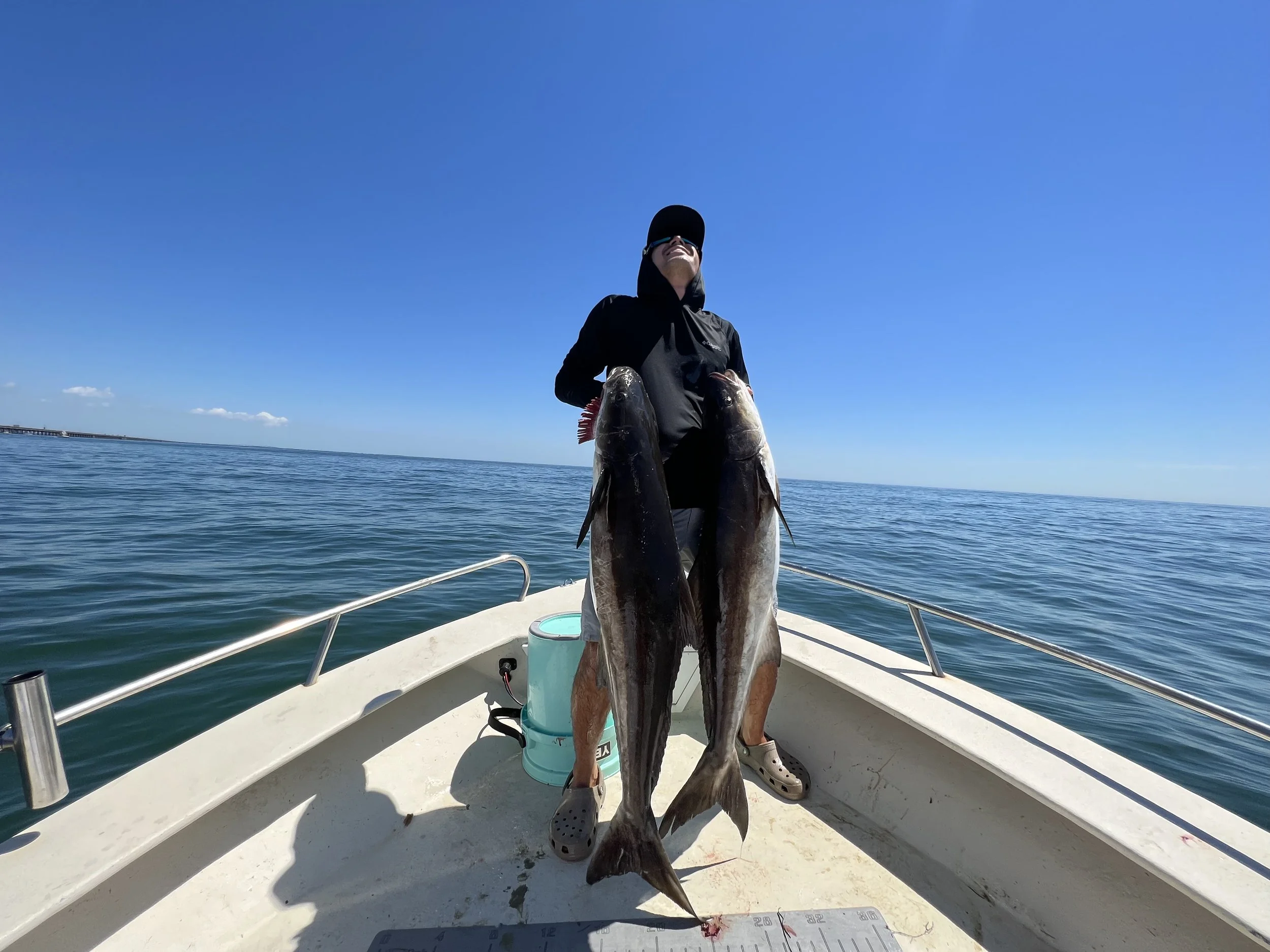 Person on a boat holding two large fish, with a clear blue sky and ocean in the background.