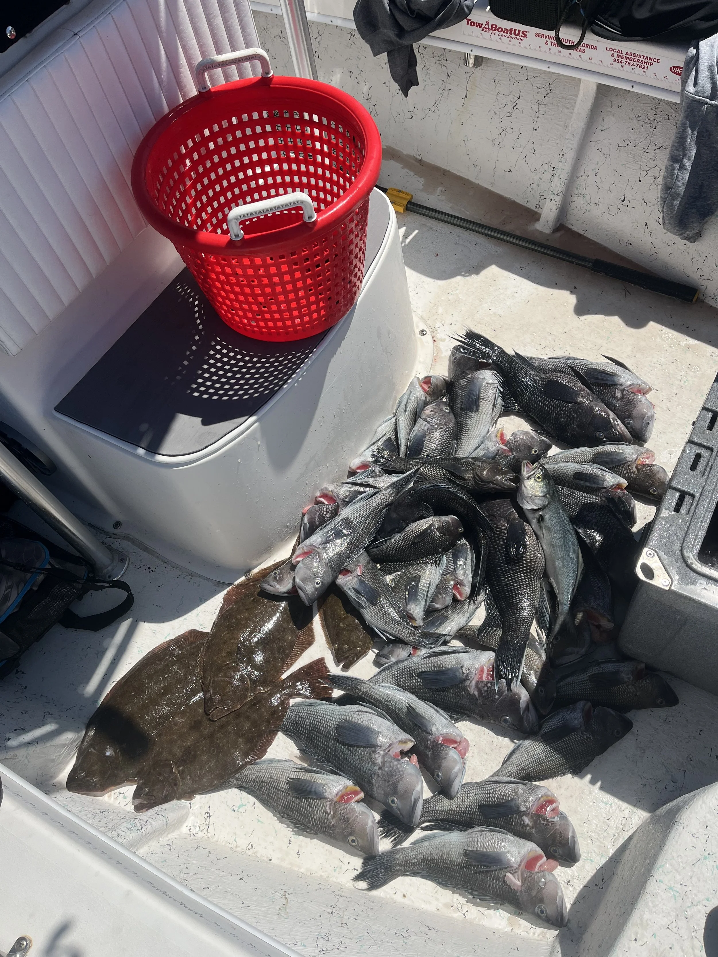 A boat deck with a pile of freshly caught fish, including various species, next to a red plastic basket with a white handle and a black scale. The background shows a white wall, a fishing rod, and some hanging clothing.