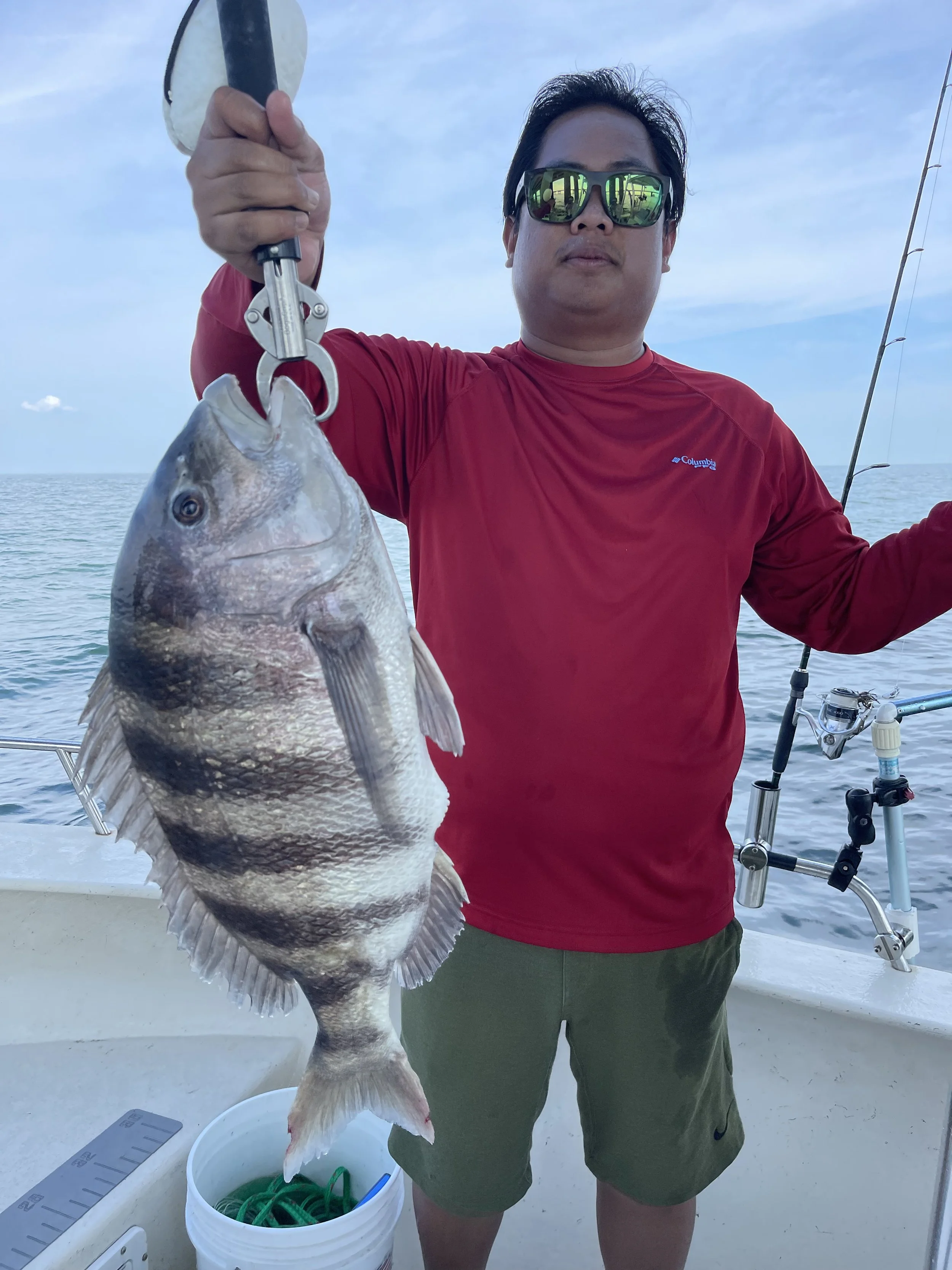 Man on a boat holding a large striped fish with a fish scale and ruler nearby, ocean in the background, wearing sunglasses and a red long-sleeve shirt.