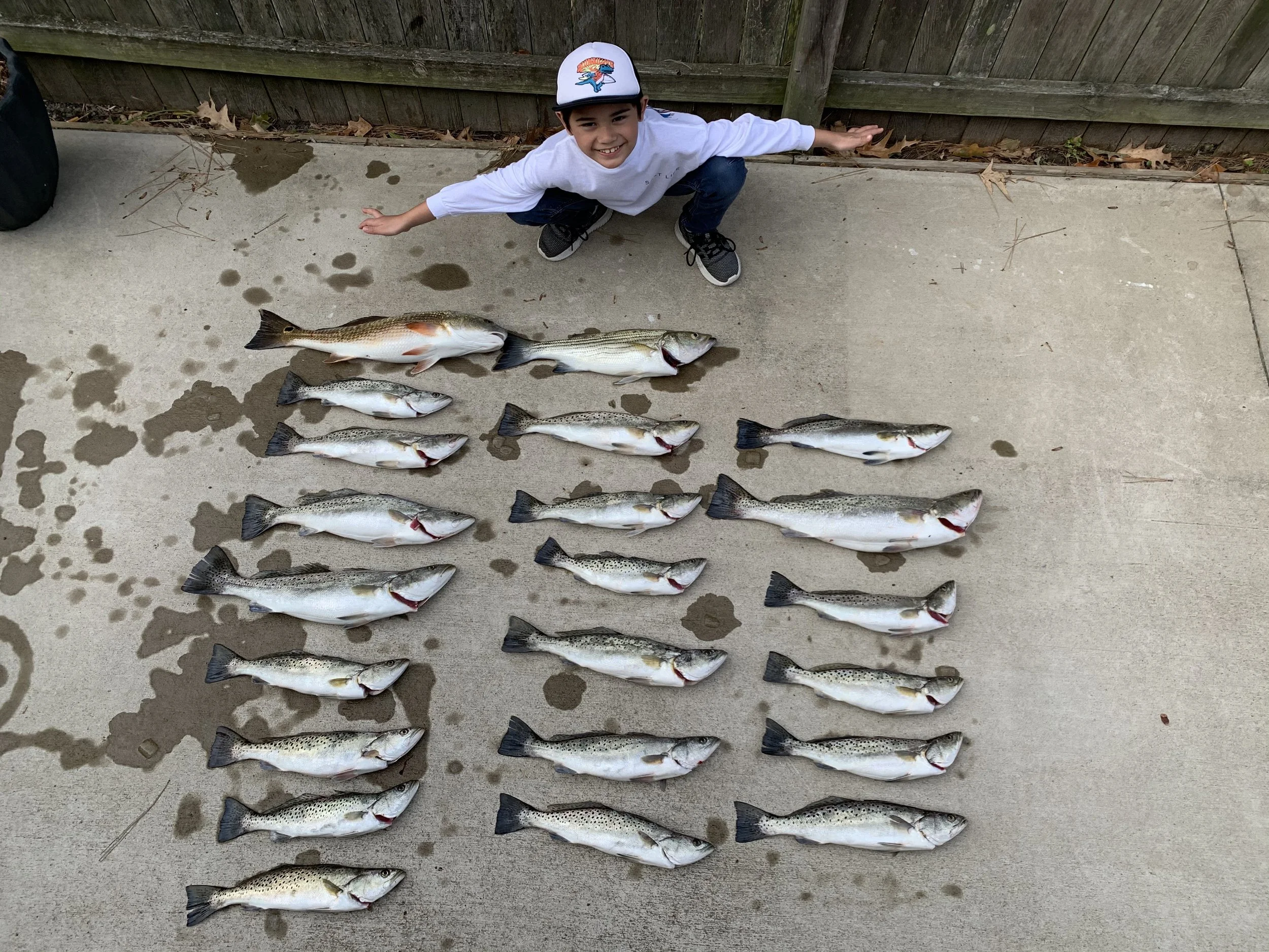 A young boy crouching on concrete next to a catch of fish laid out in rows.