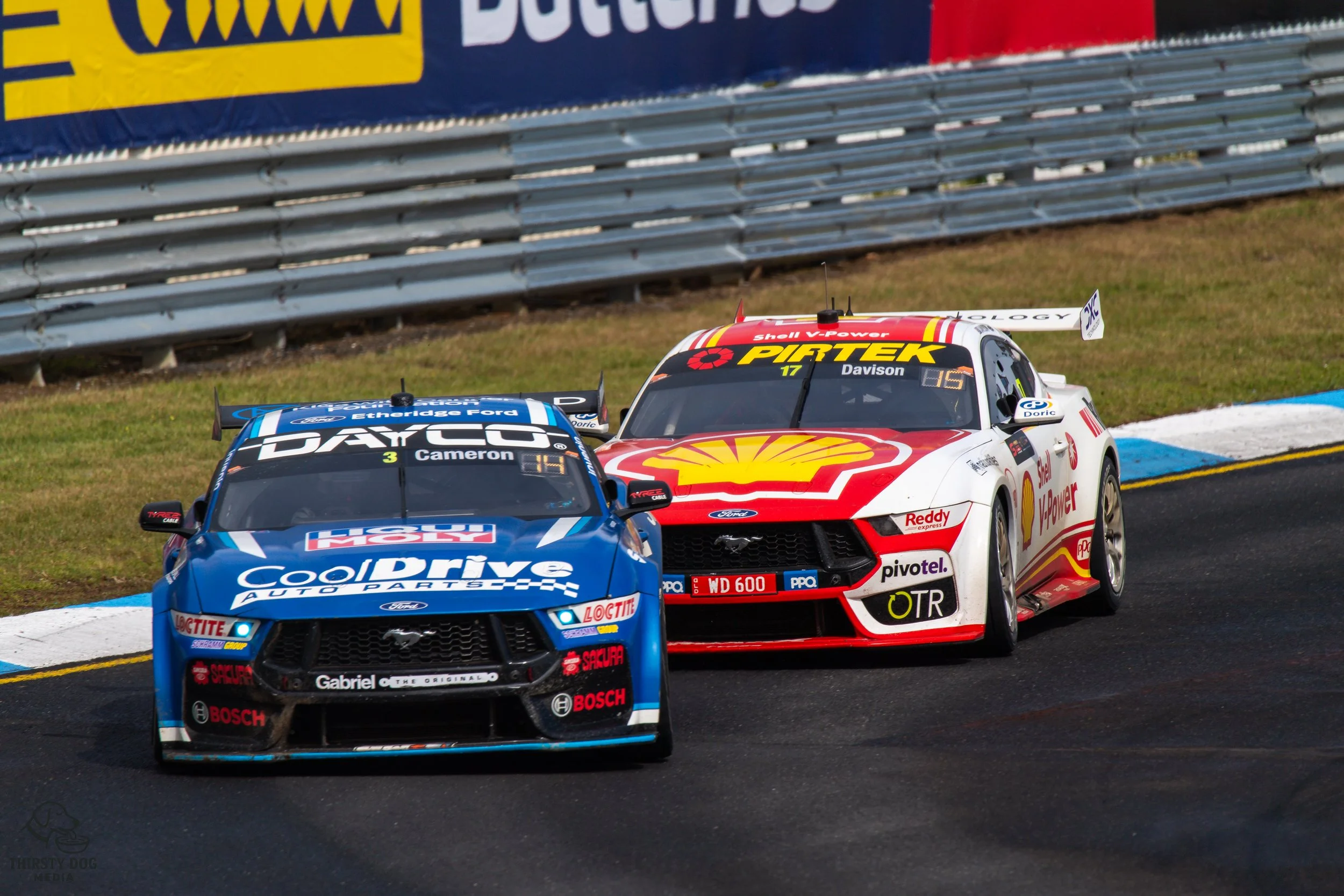 Two racing cars on a track, a blue Ford Mustang with 'CoolDrive' and 'Dayco' logos leading, followed by a white Ford Mustang with 'Shell V-Power' and 'Pirtek' branding, cornering on a racetrack with grass and barriers in the background.