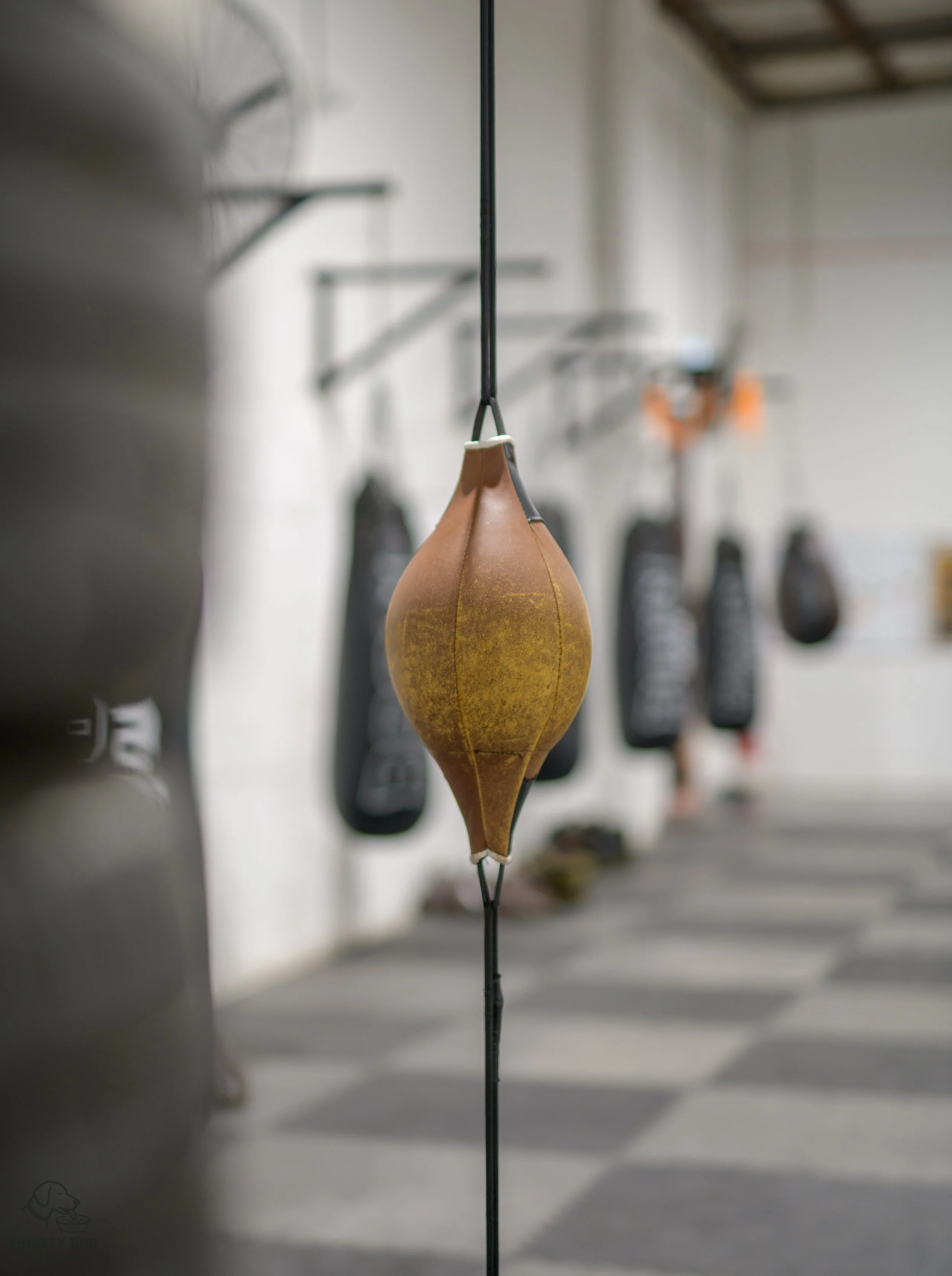 A shot of a hanging speed bag with boxing gloves in the blurred background.