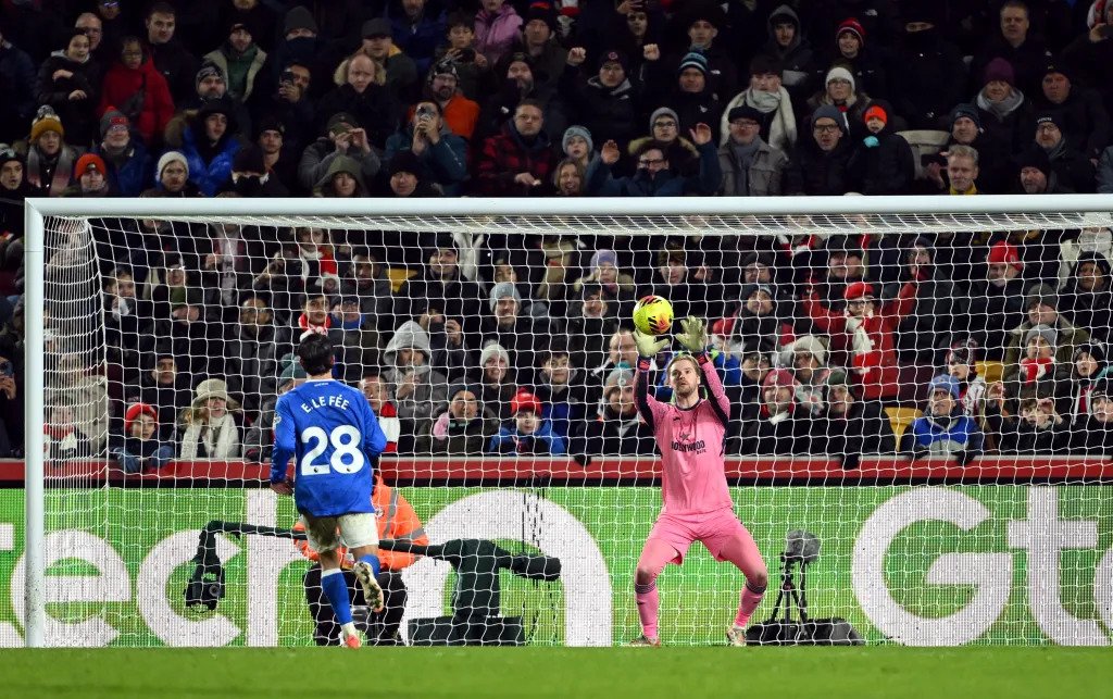 Bees 🐝 Swarm the Black 🐈‍⬛ Cats: Enzo Le Fee in Disarray