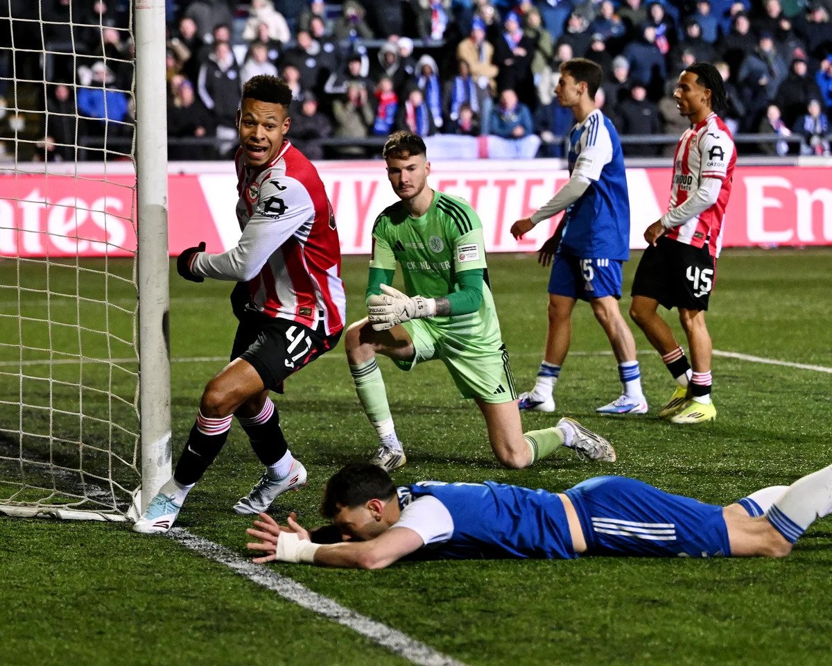 When Fortune Favors the Bees 🐝