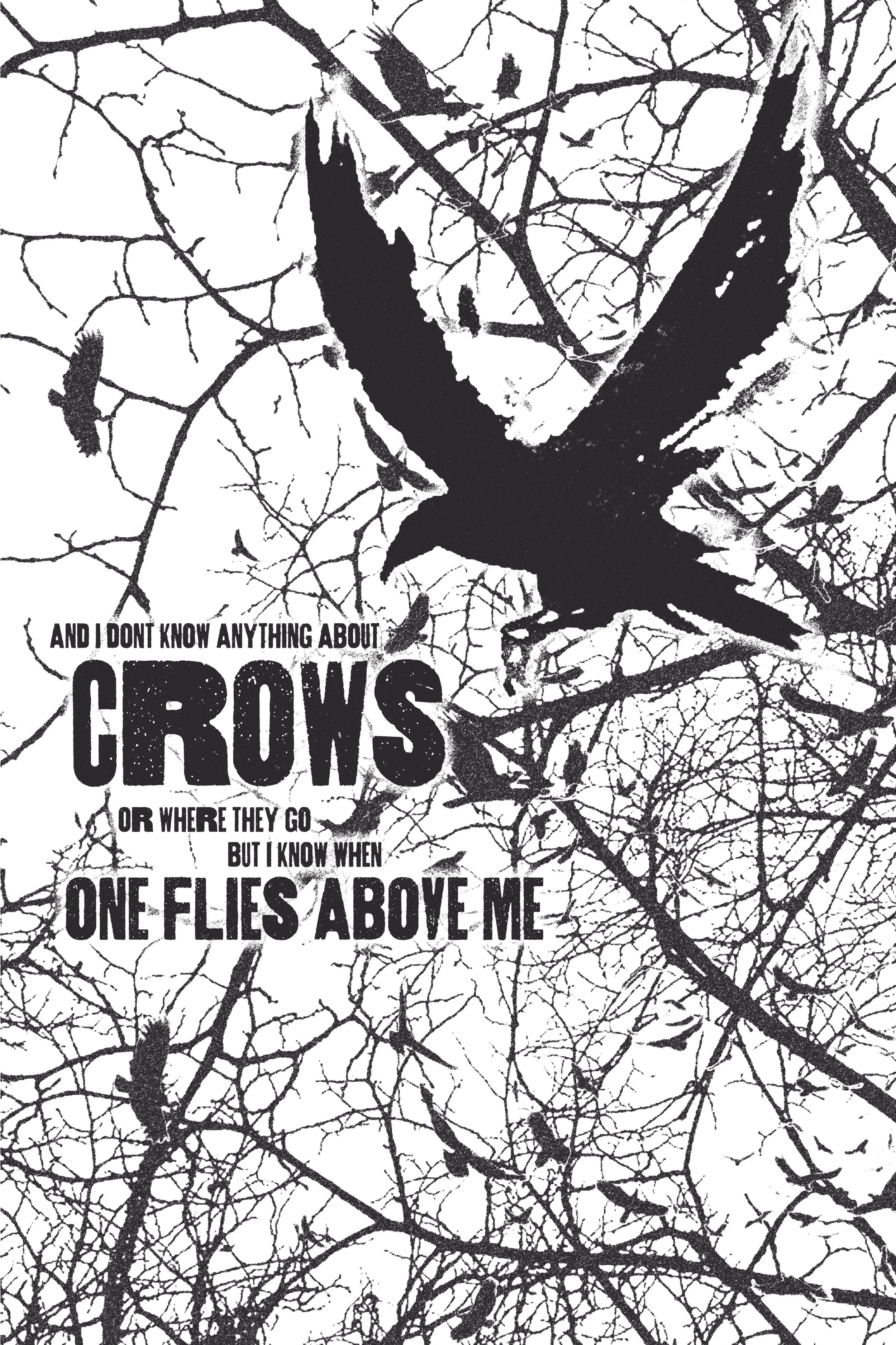 Gramma & In Lieu: "Crows" poster (Photoshop)