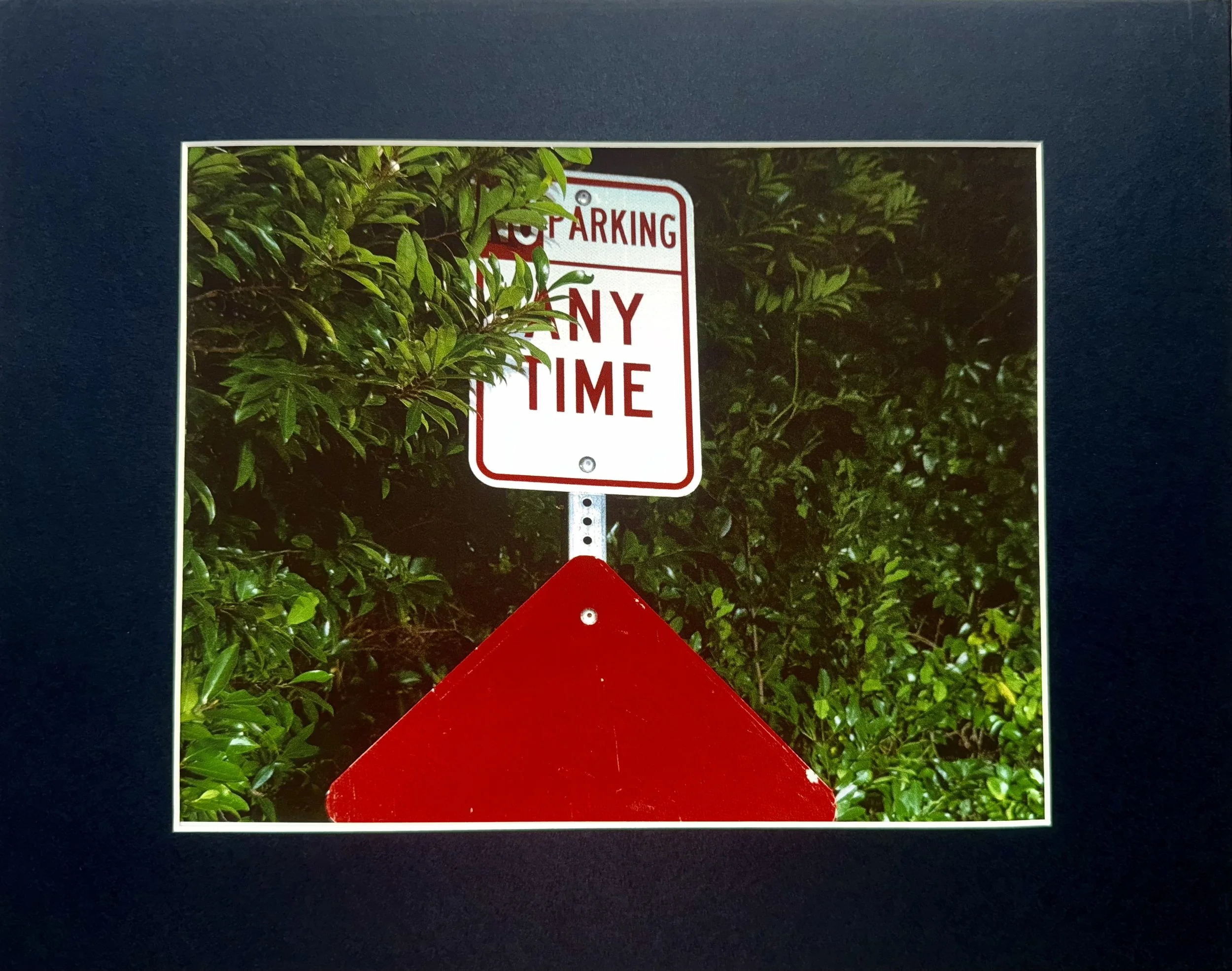 Inkjet photography print, matted to 8x10, scanned