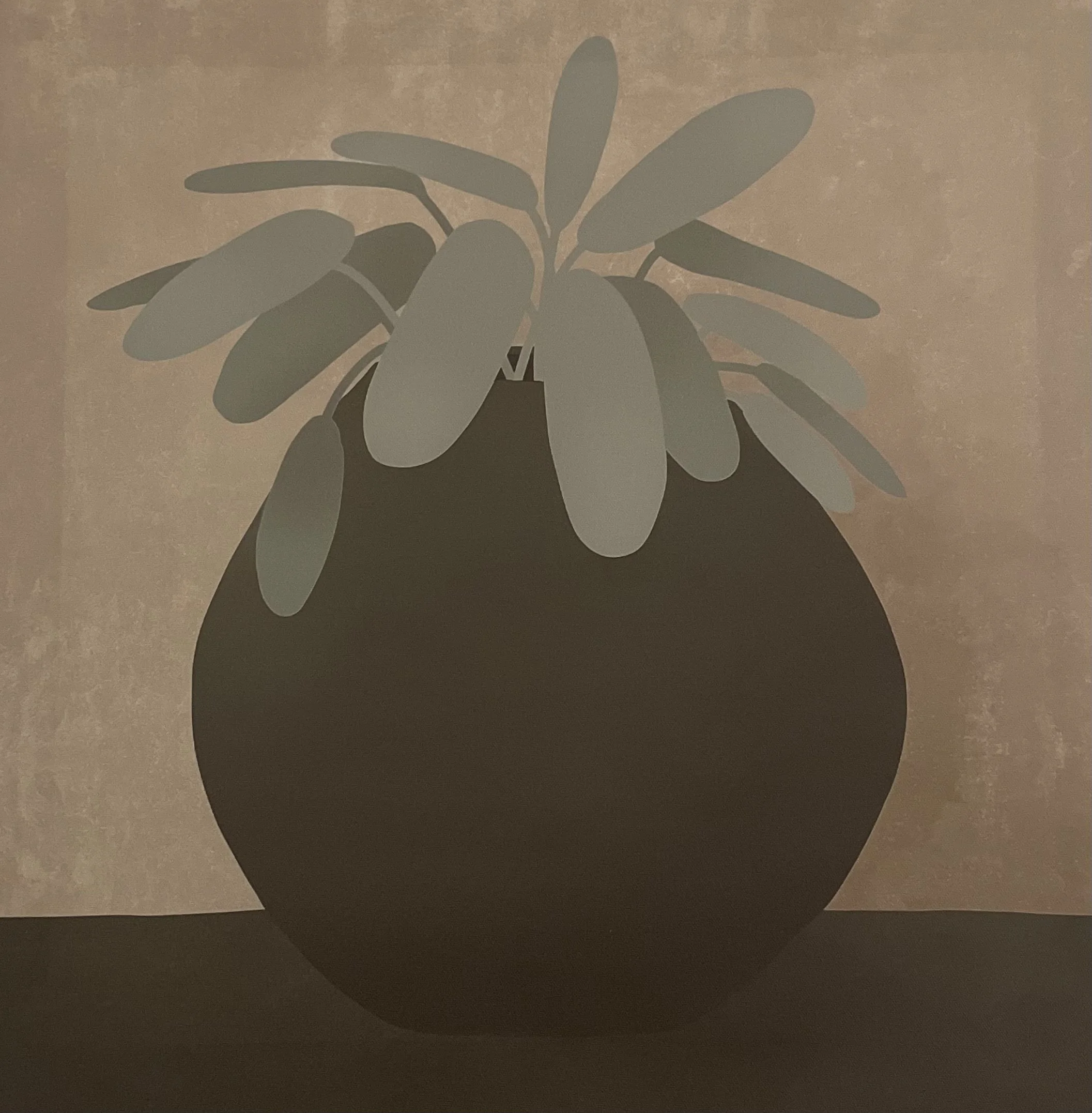 Illustration d'une plante à feuilles allongées dans un vase noir, avec en fond un mur beige.