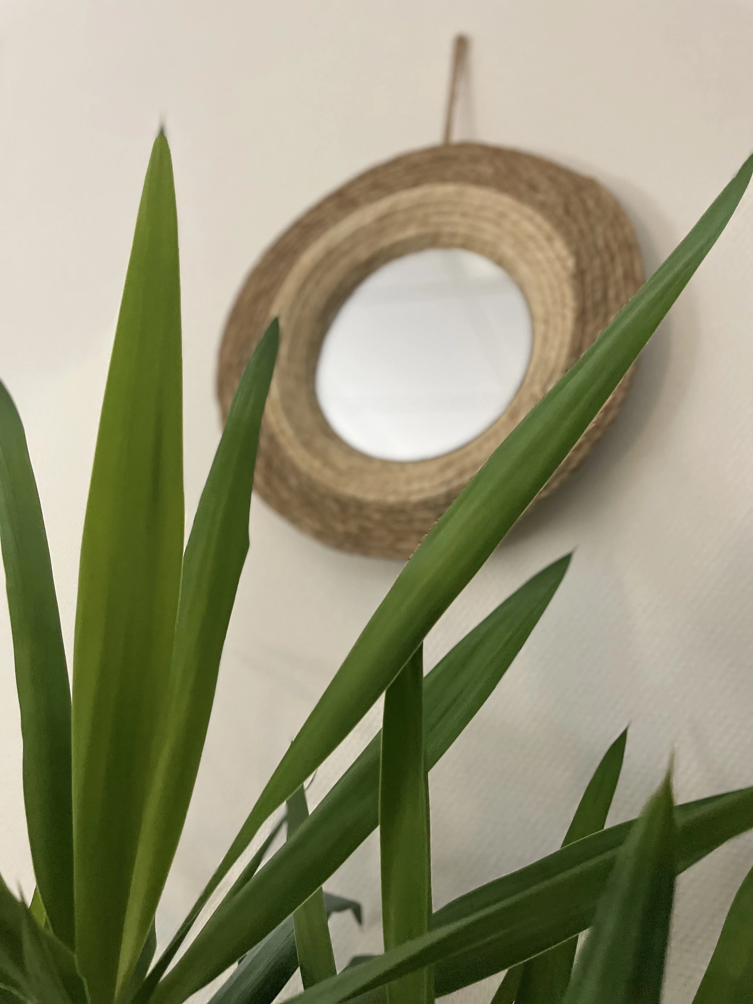 Un miroir rond en bambou accroché à un mur blanc, avec un feuillage vert en premier plan.