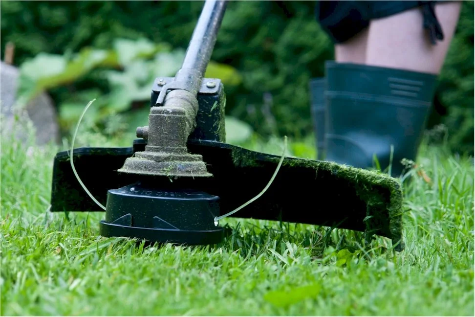 Lawn Care maintenance