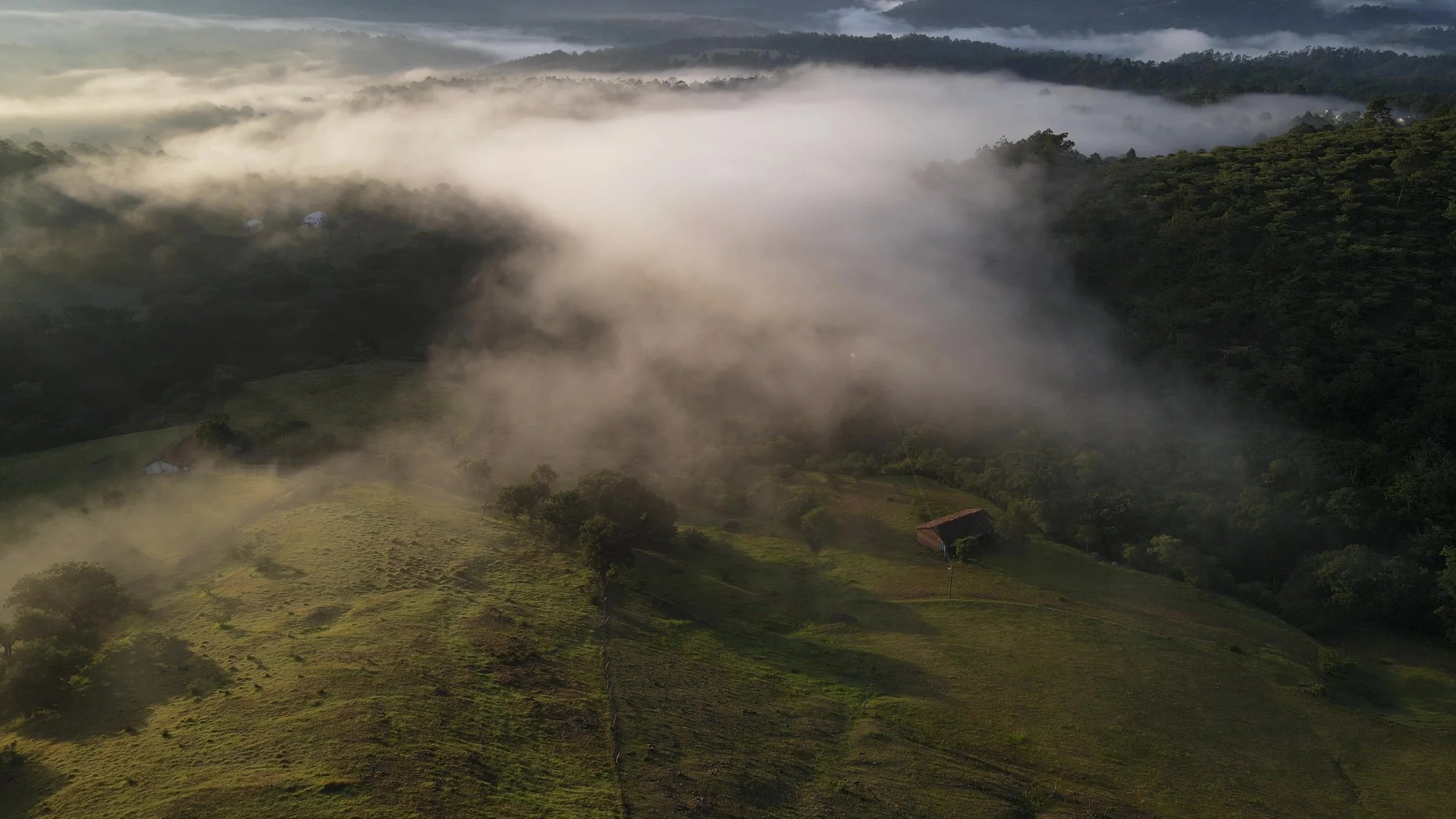 DJI_0491 - frame at 0m3s.jpg