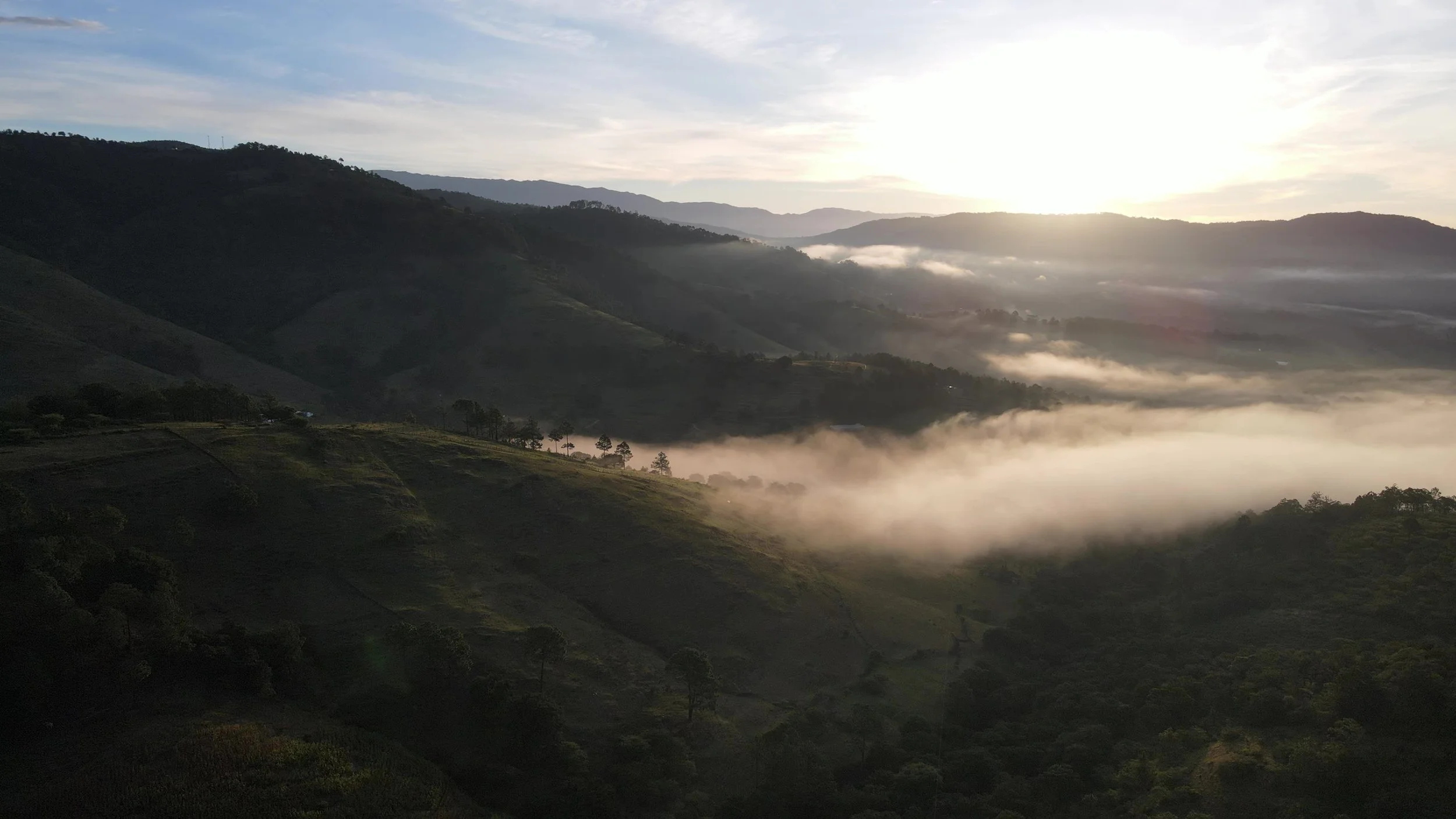 DJI_0487 - frame at 0m59s.jpg