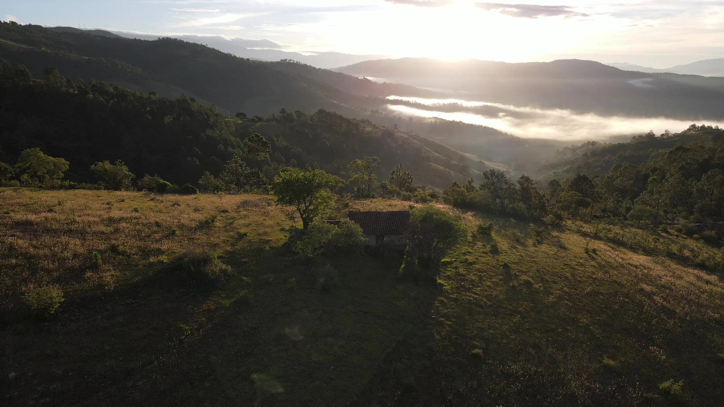 DJI_0482 - frame at 0m14s.jpg