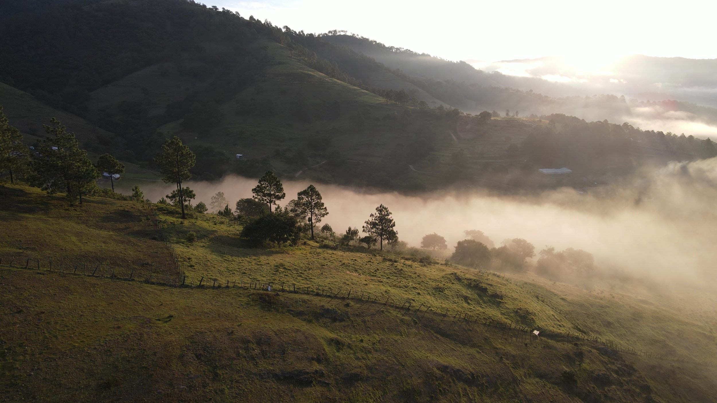 DJI_0488 - frame at 0m21s.jpg