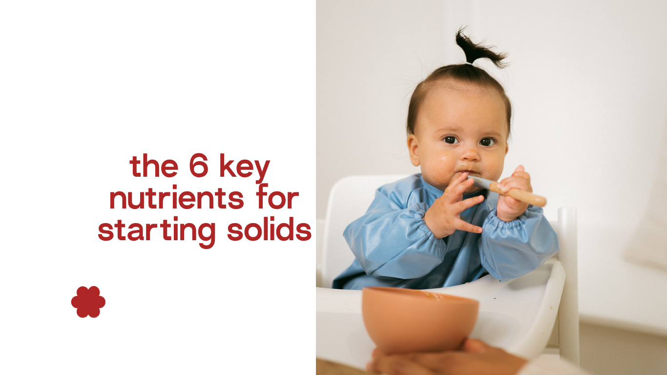 the 6 key nutrients for starting solids