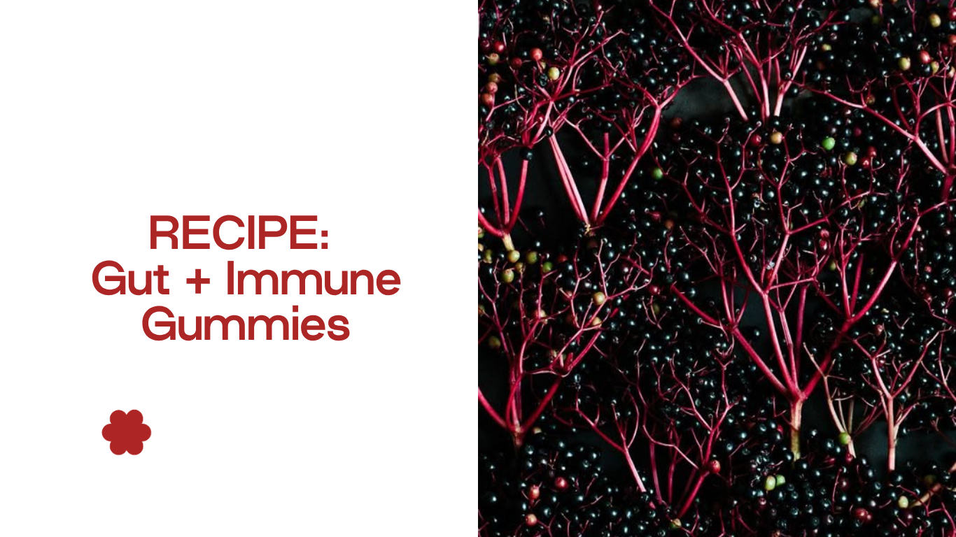 Gut + Immune Gummies for Babies,  Toddlers &amp; The Family. 