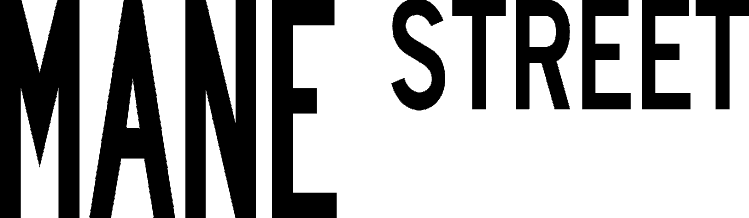 Mane Street Business                                       Guidance. Growth. New Beginnings.