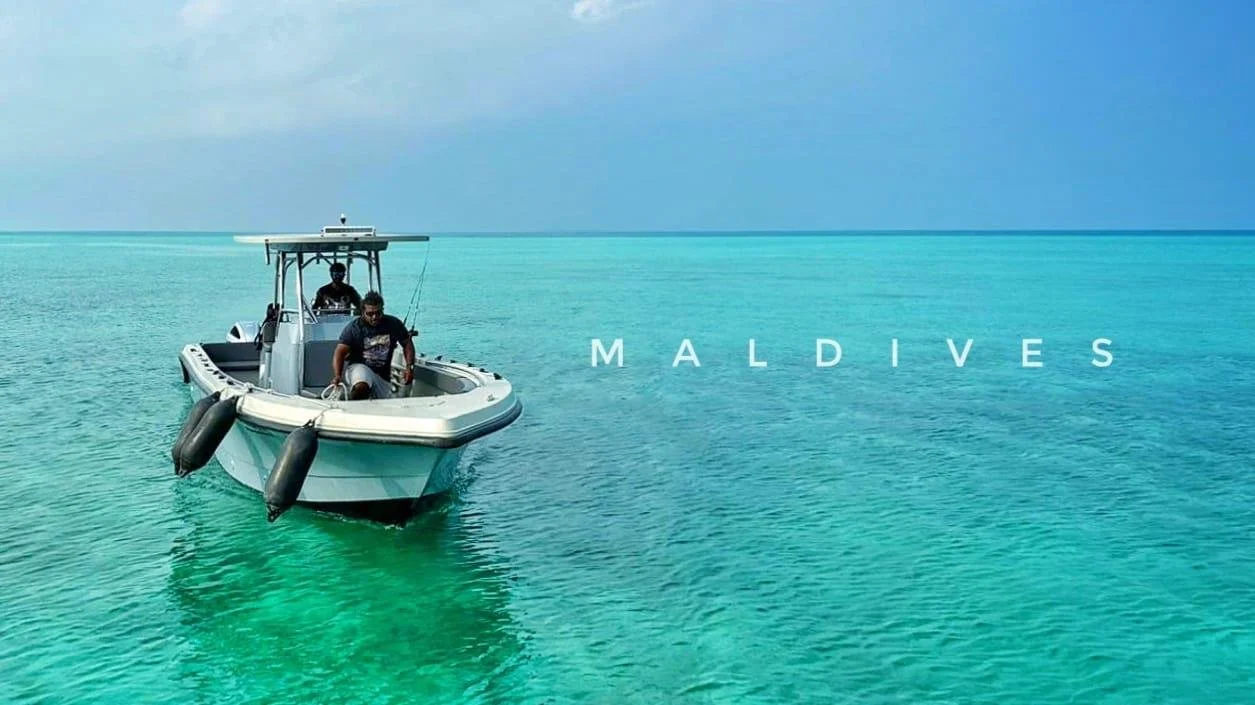 WhatsApp Image 2025-11-03 at 12.59.56.jpeg