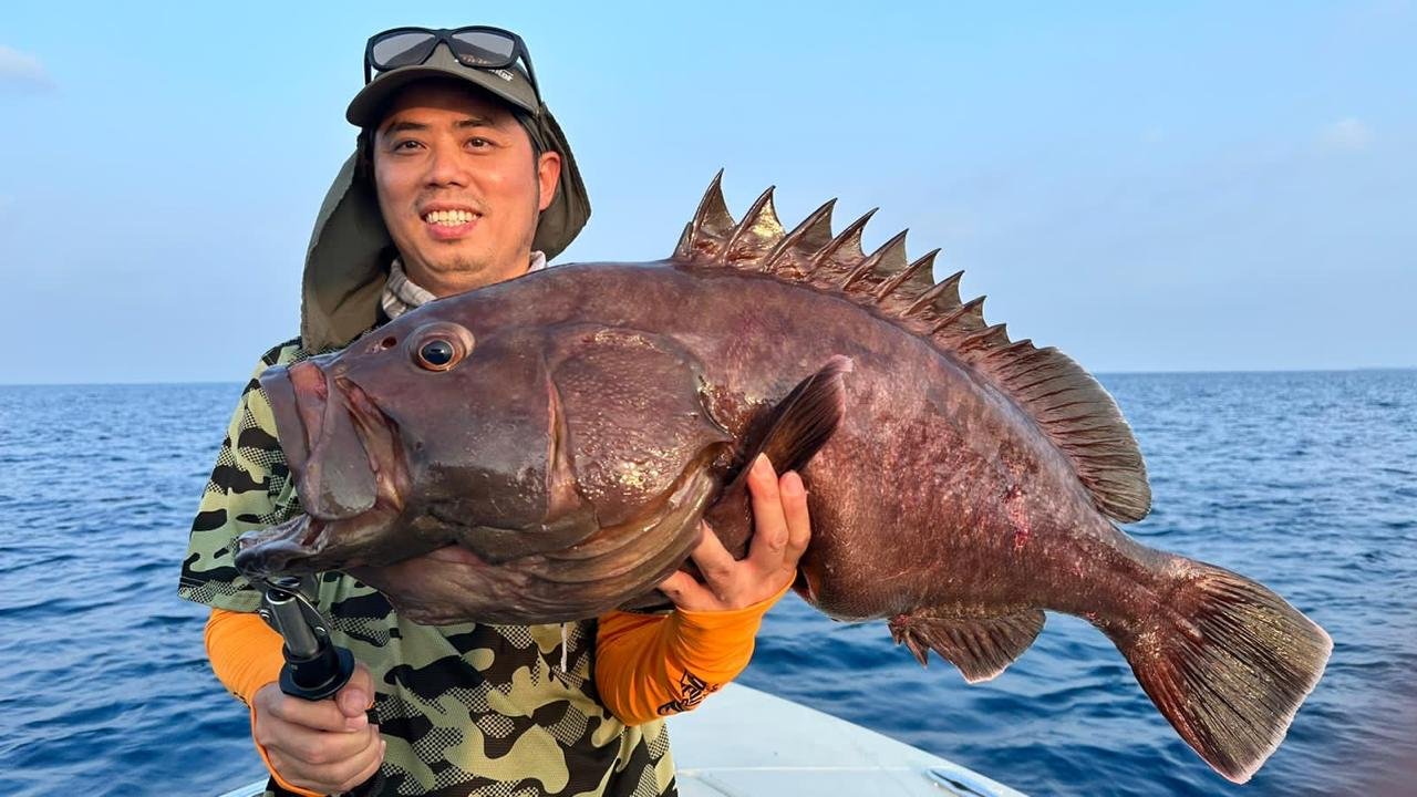 WhatsApp Image 2025-11-03 at 12.59.55 (1).jpeg