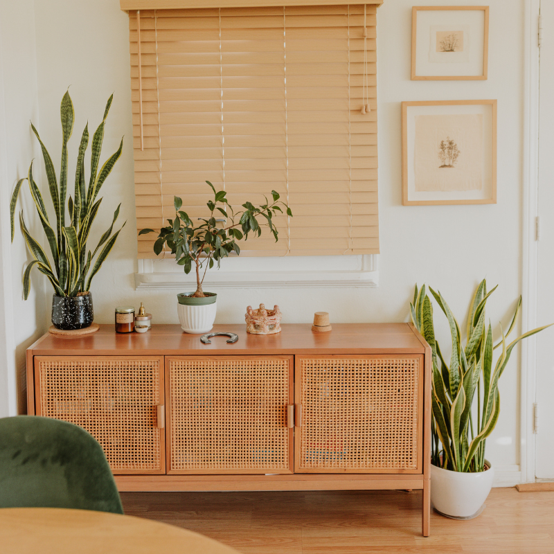 The Cost of Not Knowing Your Own Home