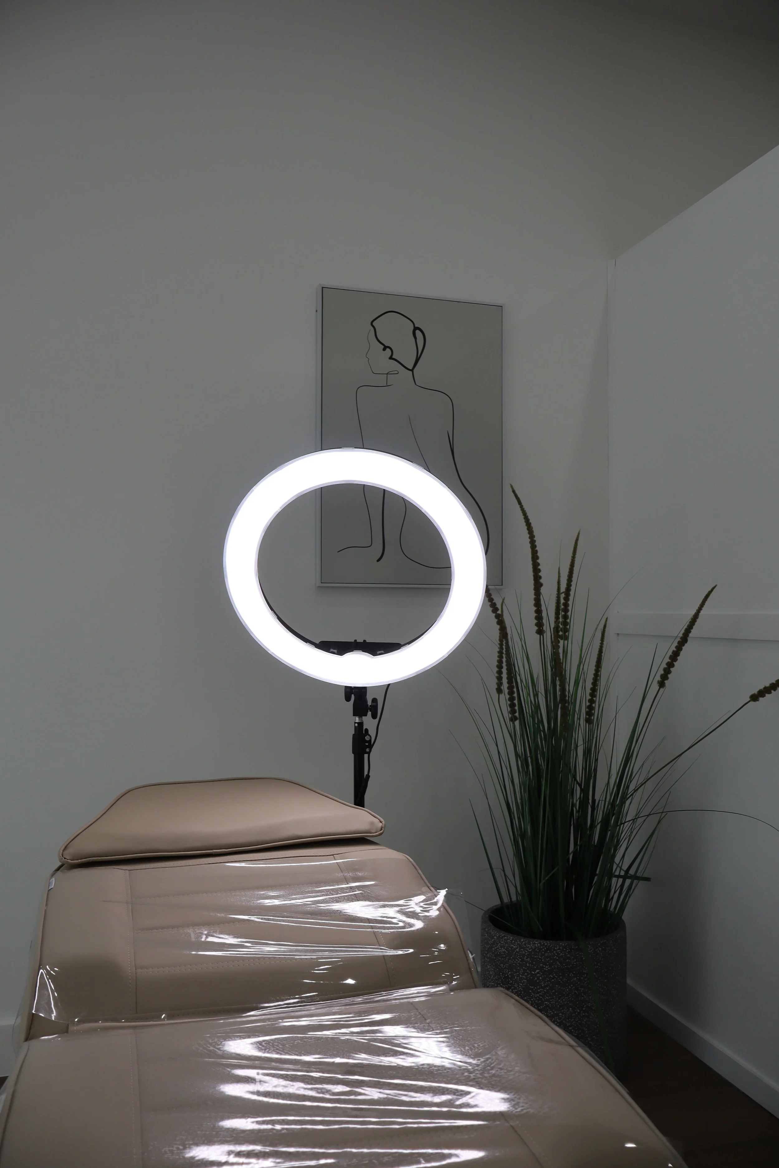 A ring light on a stand, a beige massage table with a plastic cover, a potted plant, and minimalist line art of a woman on the wall.