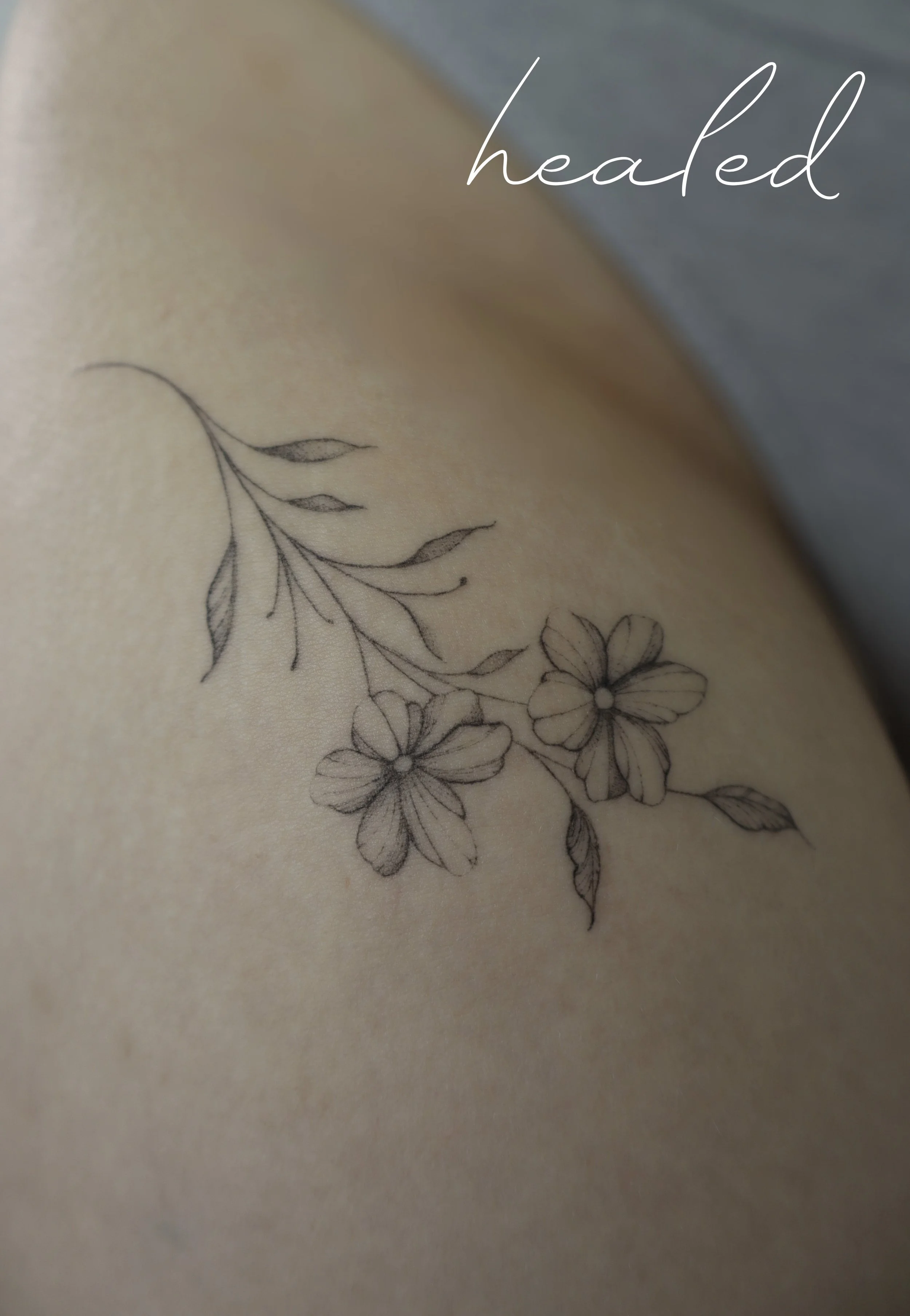 A close-up of a tattoo of a flower with leaves on skin, with the word "healed" written in white cursive text in the top right corner.