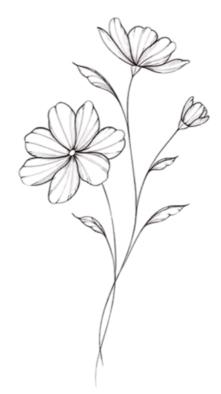 Black and white illustration of a flower with two large open blossoms and a smaller bud on a tall, slender stem with elongated leaves.