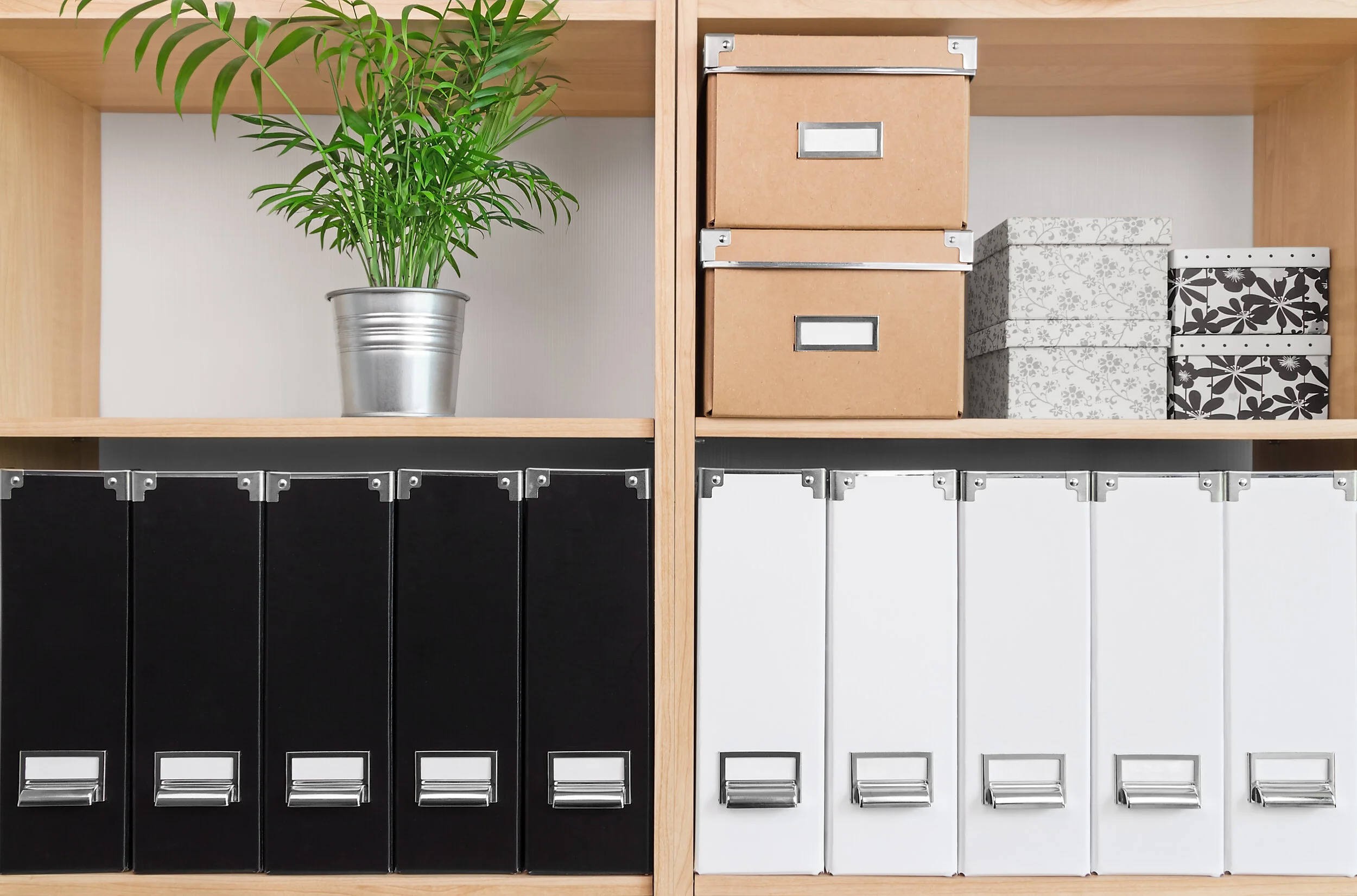 Wooden shelf with a potted plant, cardboard storage boxes, and black and white magazine files.