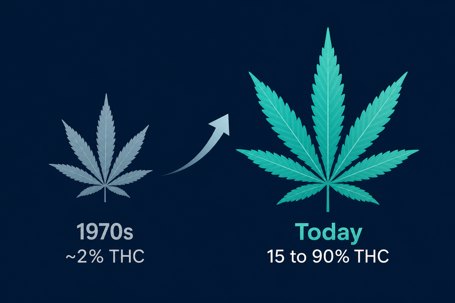 Is Today's Cannabis a Different Drug? Potency, CBD, and Your Brain