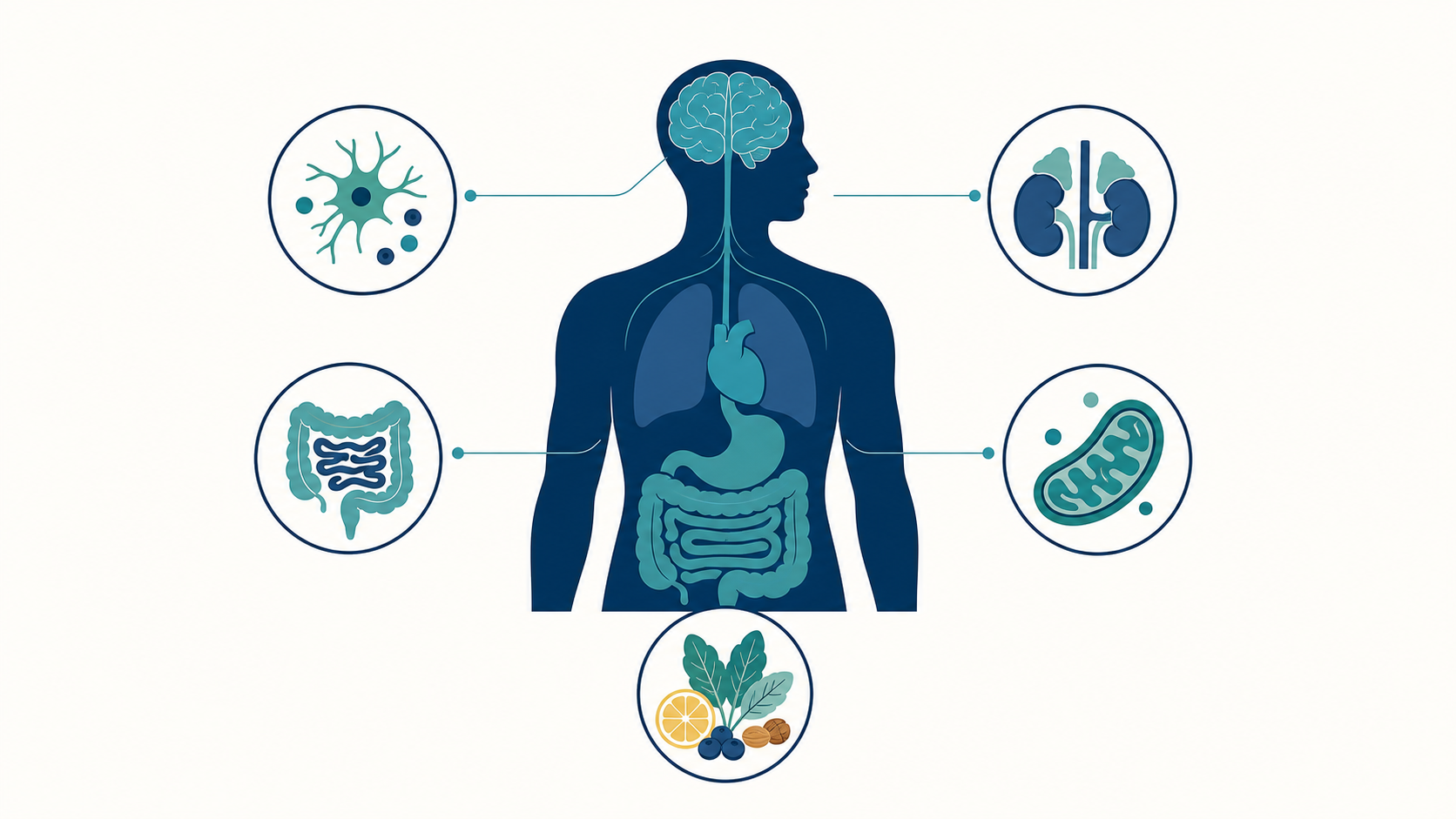 What Is Functional Psychiatry? A Framework for Understanding the Biology Behind Mental Illness