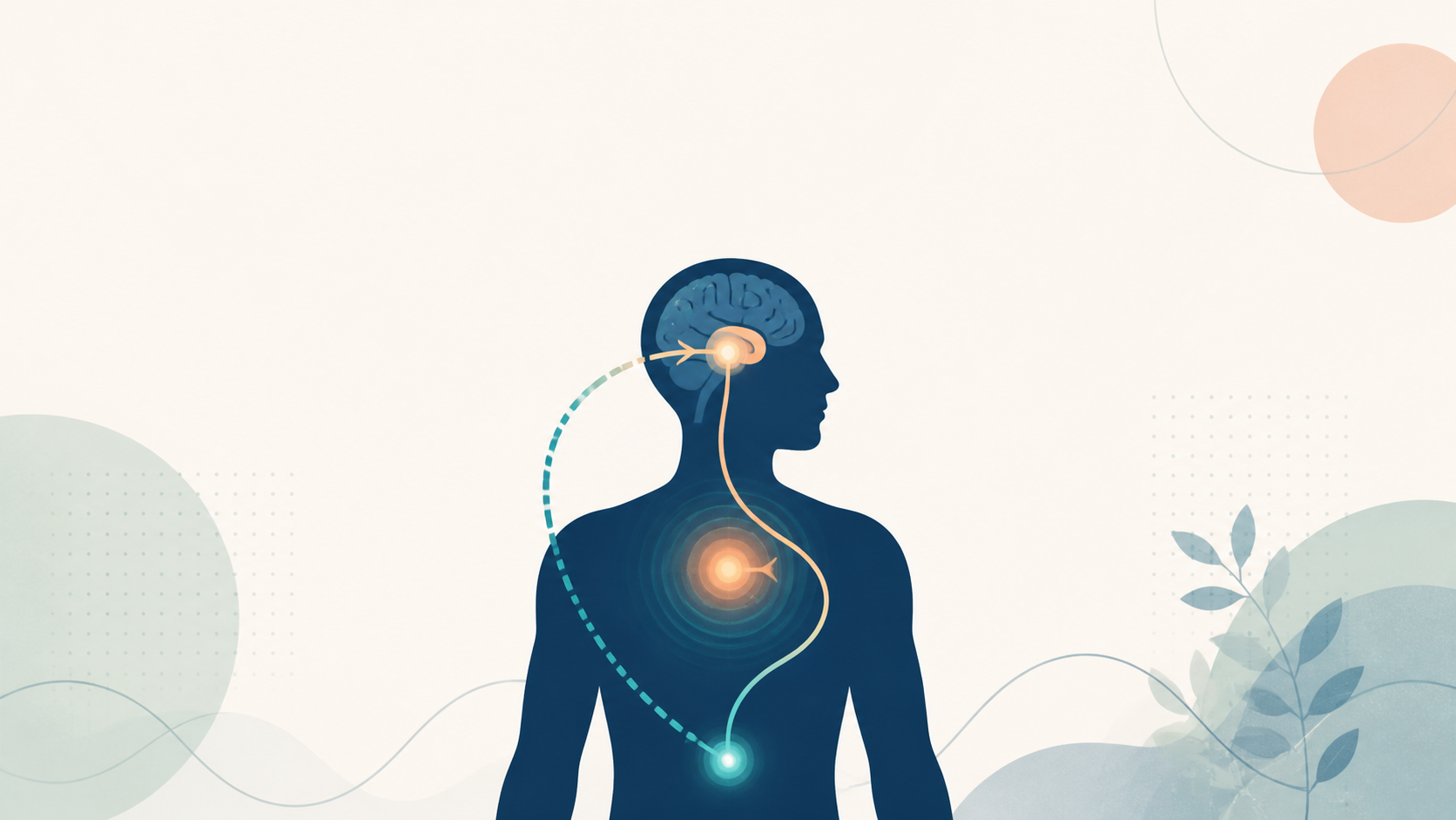 The Body Keeps the Score: What the Science Actually Says in 2026