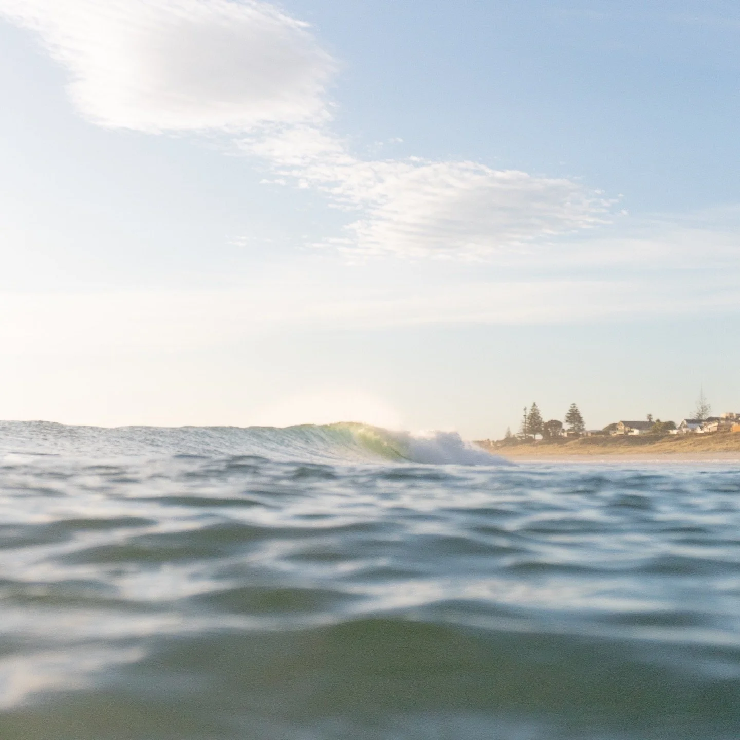 a dreamy morning in the Mount 

#photographer #surfphotography #surfing #newzealand #mountmaunganui #wave