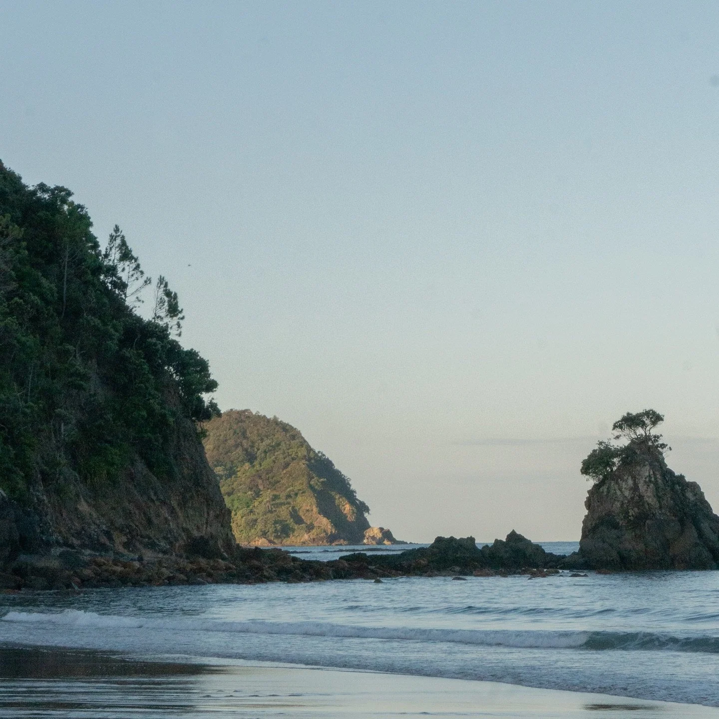 Te Karo Bay 📍

#photography #photographer #newzealand #coromandel #beach