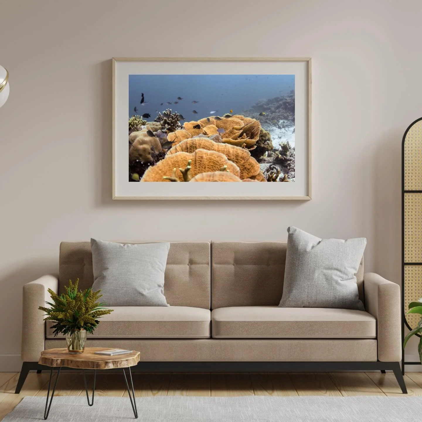 Looking for the perfect Christmas present for an ocean lover?! 🌊📸

👉 5 days left to order and guarantee your print is ready to put under the tree! 
Shipping New Zealand wide

🔗 https://bellaslense.com/

It&rsquo;s been so much fun putting this si