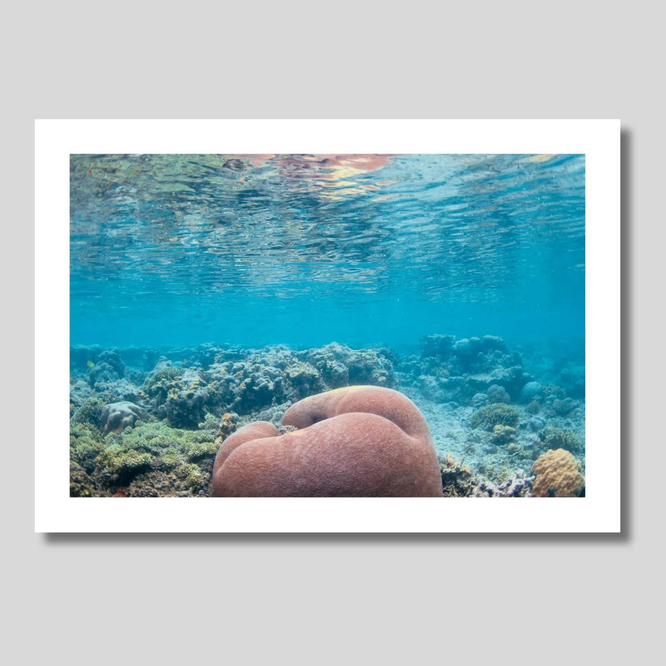 Heart of the reef.jpg