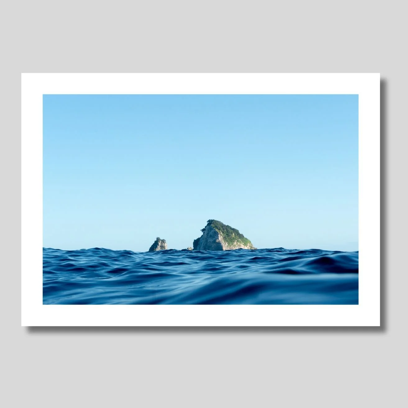 Aldies isolation.jpg