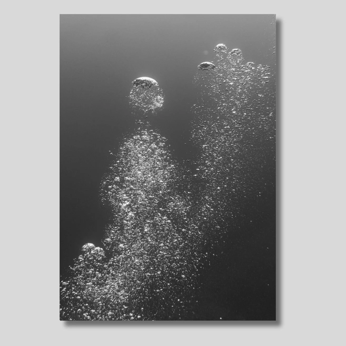 Dreaming of diving nb.jpg