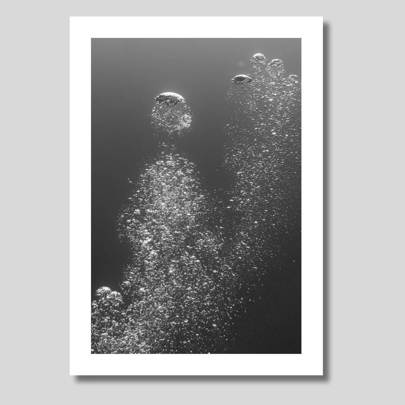 Dreaming of diving.jpg