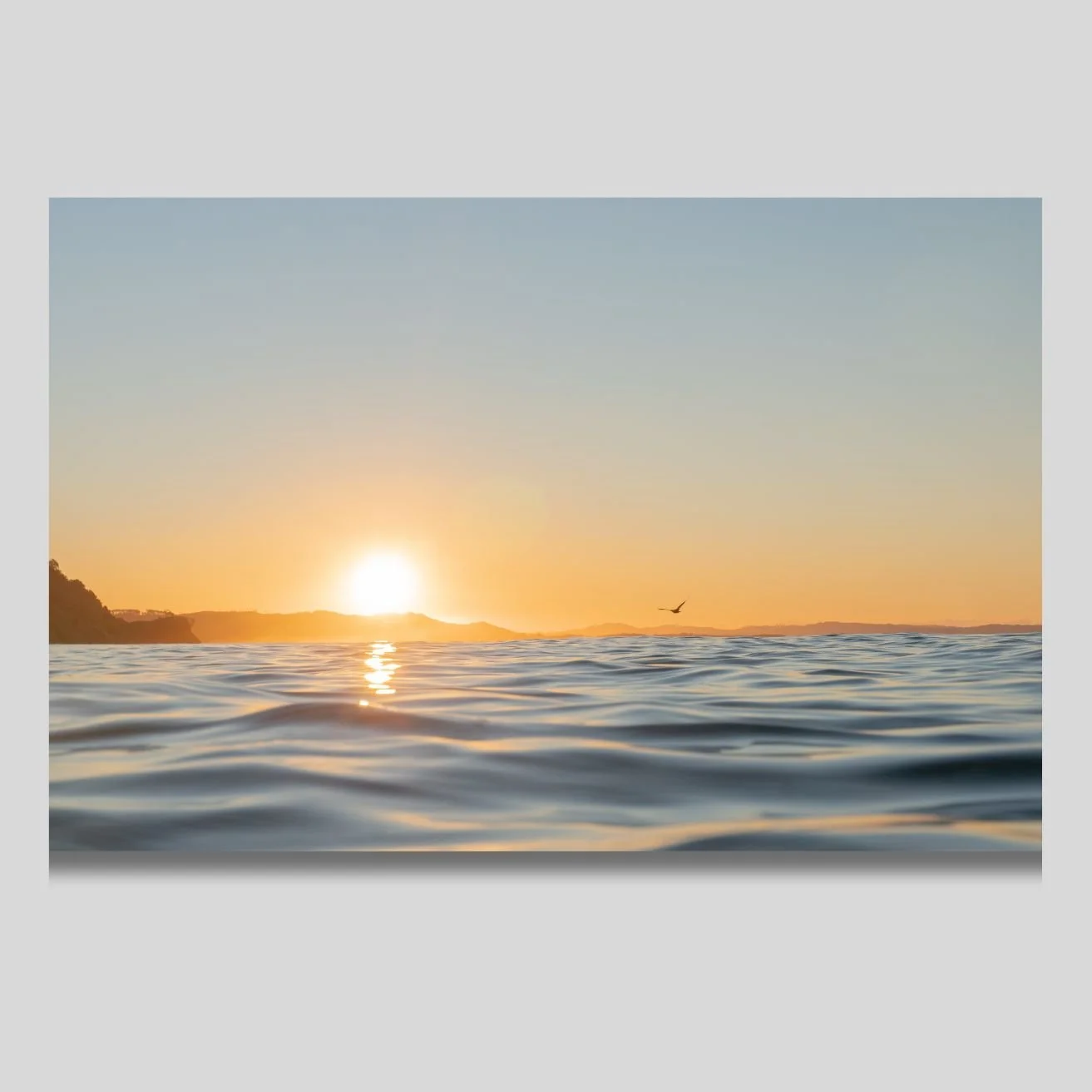 Soaring Through Sunset