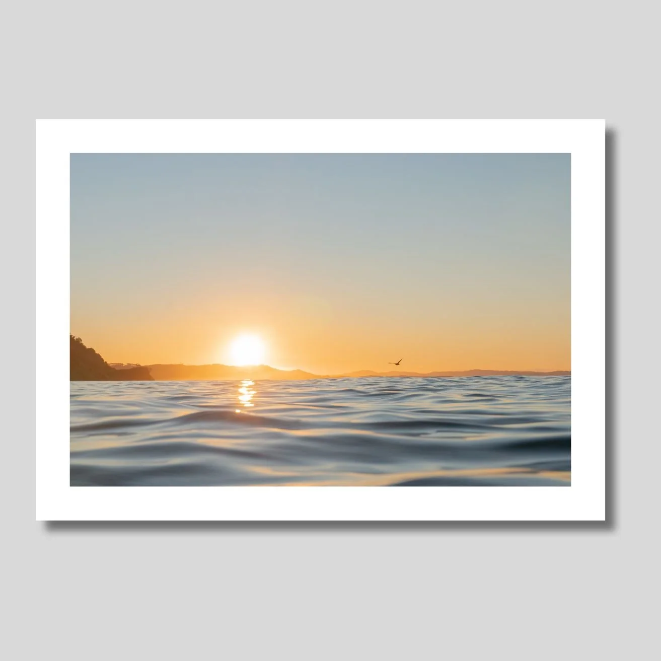 Soaring through sunset.jpg