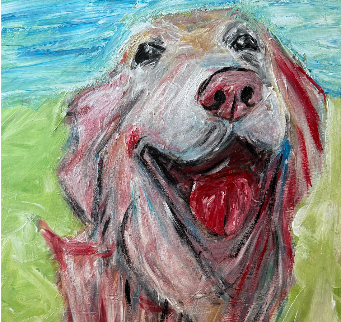 The Long-haired Labrador Project
