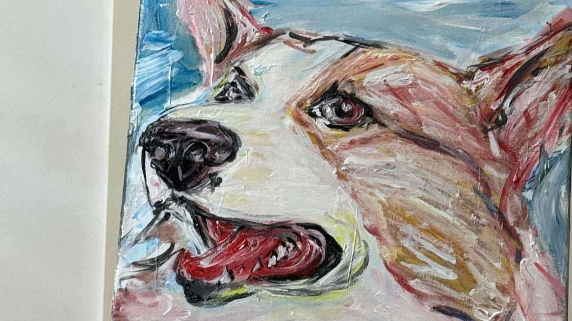 The Welsh Corgi  Project