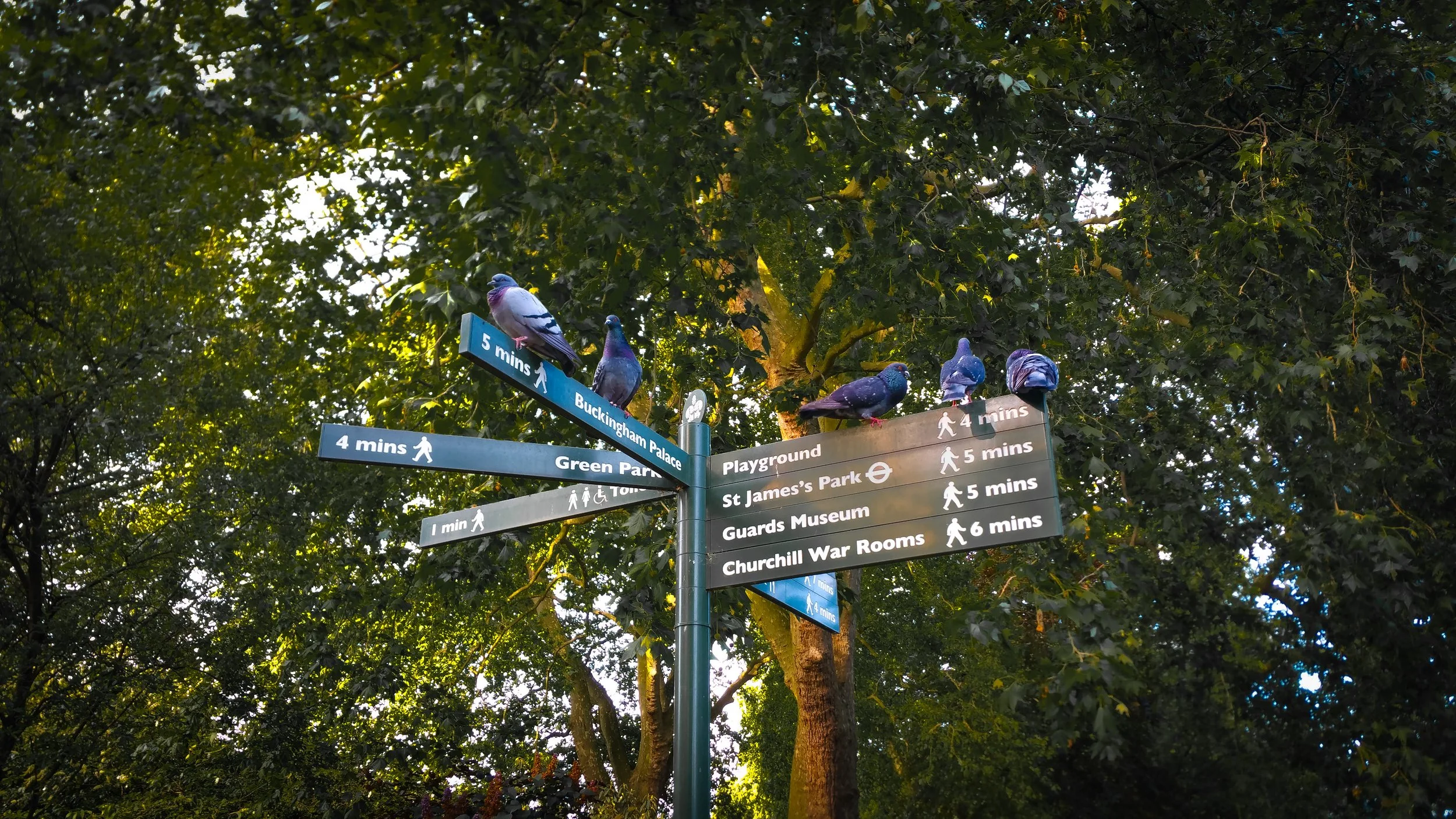 Directions in English and how to ask for them