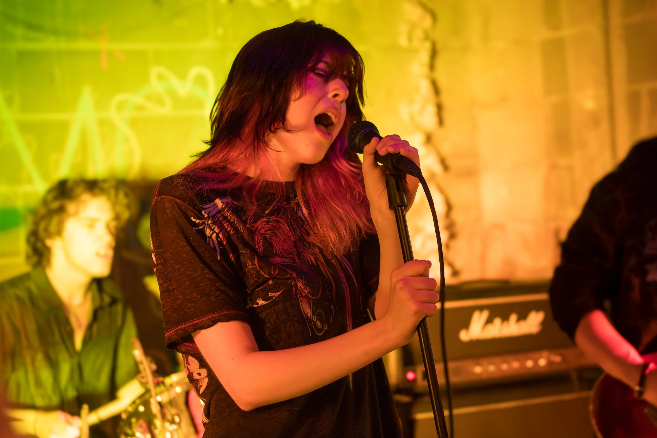 A woman passionately singing into a microphone during a live performance, with a band playing in the background. The scene is illuminated with yellow and orange stage lights.