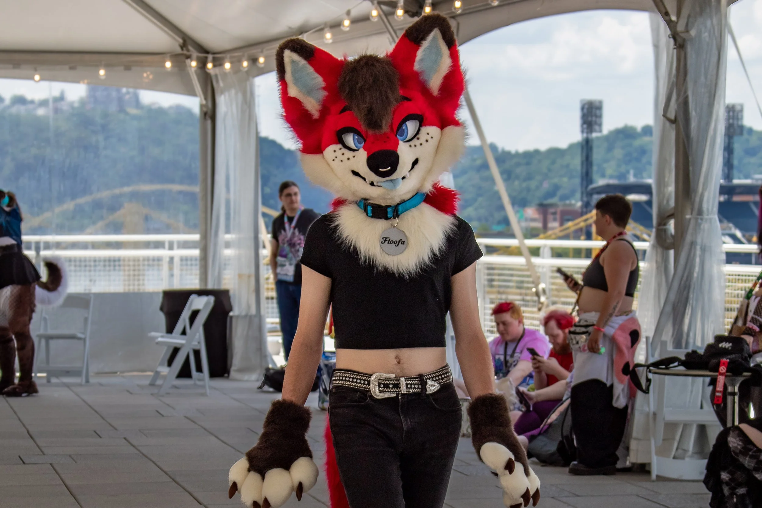 Person in a fox fursuit with red, white, and brown fur, blue eyes, and a blue collar, walking in an outdoor event under a tent with string lights, with people in the background.