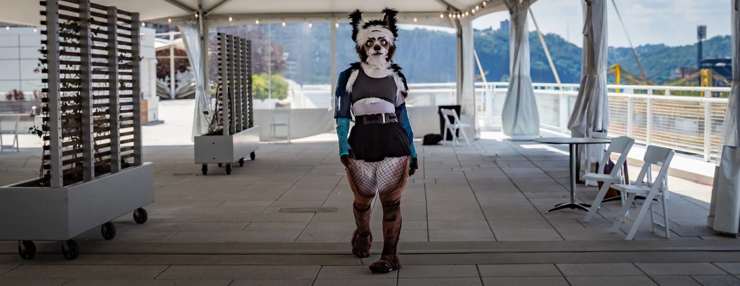 Person in a dog fursuit walking on an outdoor patio area with tables and chairs, overlooking a cityscape and mountains in the background.