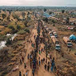 World Humanitarian Day 