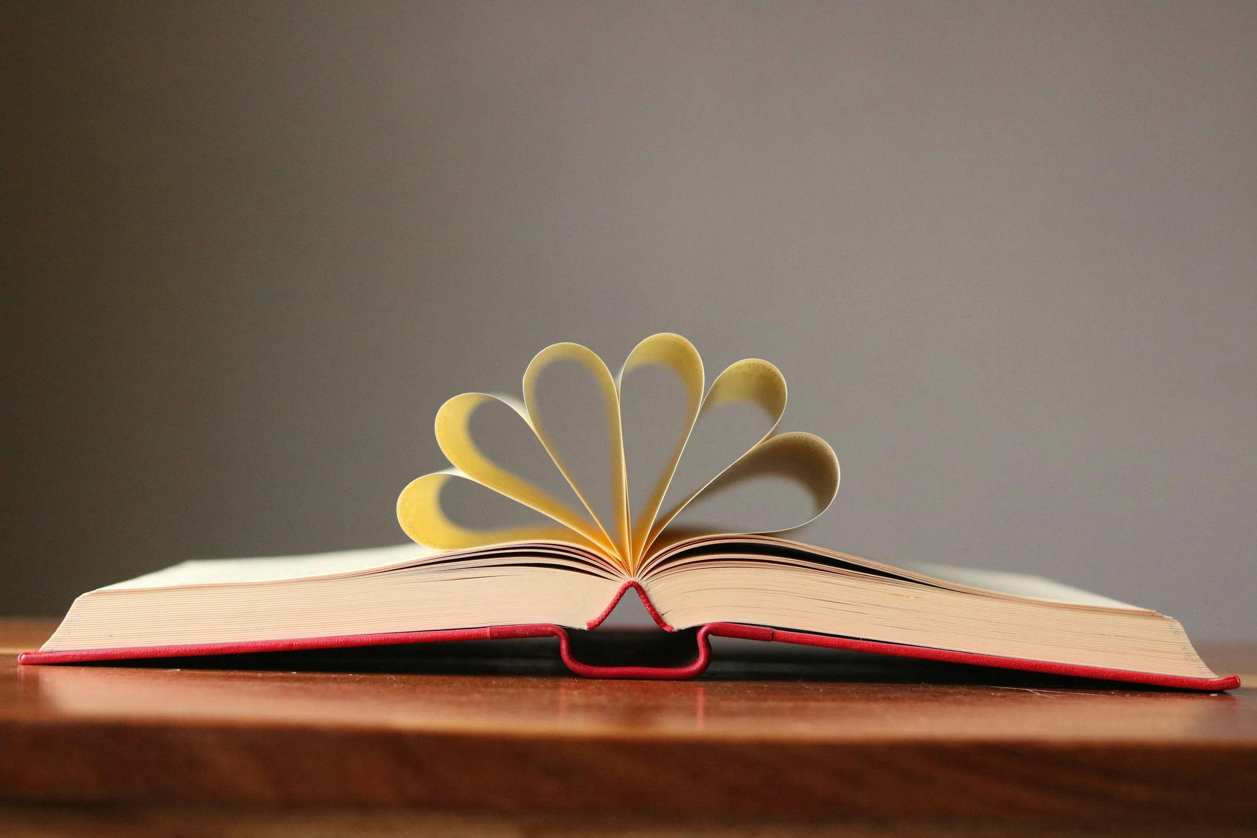 Top Business Books on Creativity & Innovation