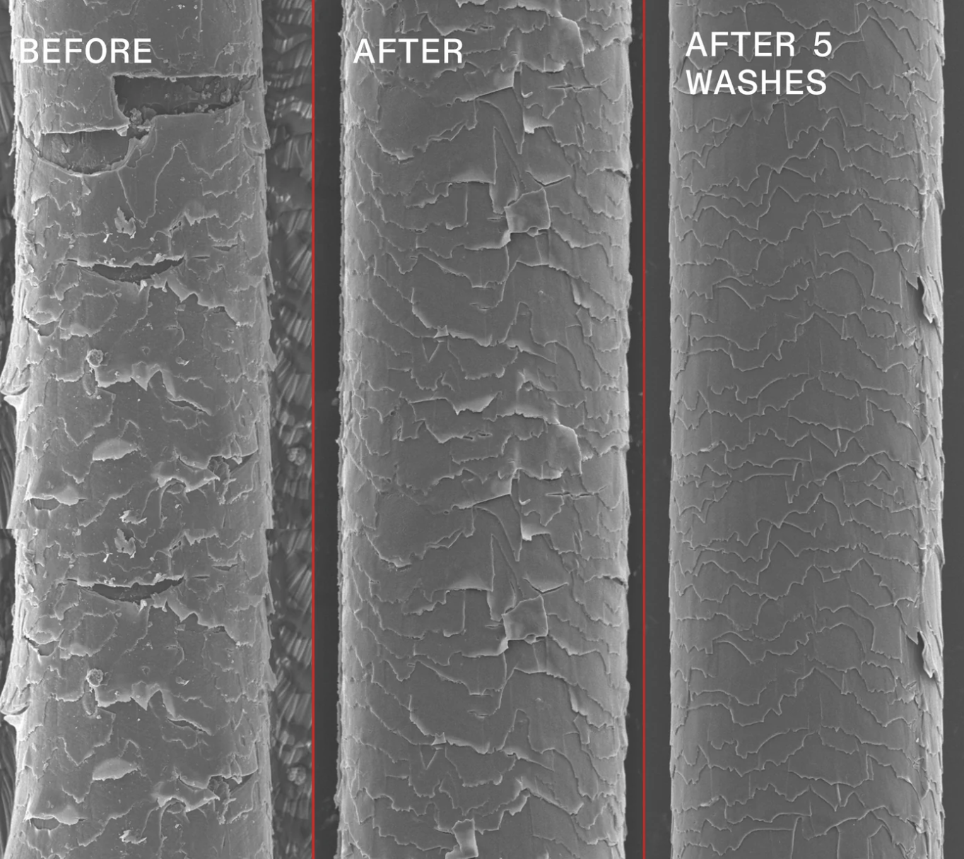 Screenshot 2026-03-19 at 12.51.37 pm.png (Copy)