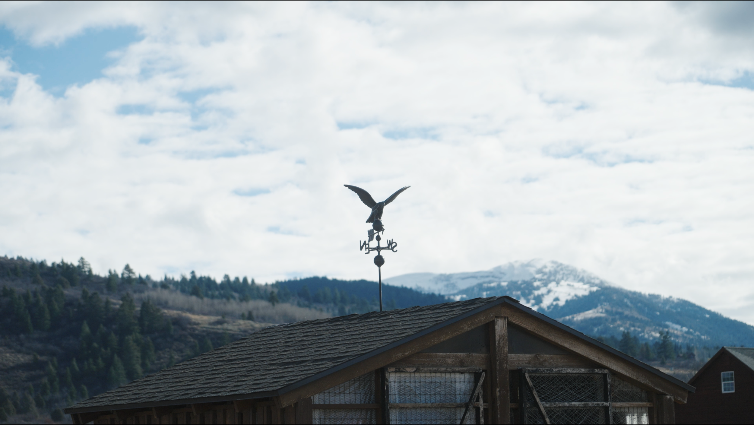 "Price of Comfort" - Producer & Director & DP