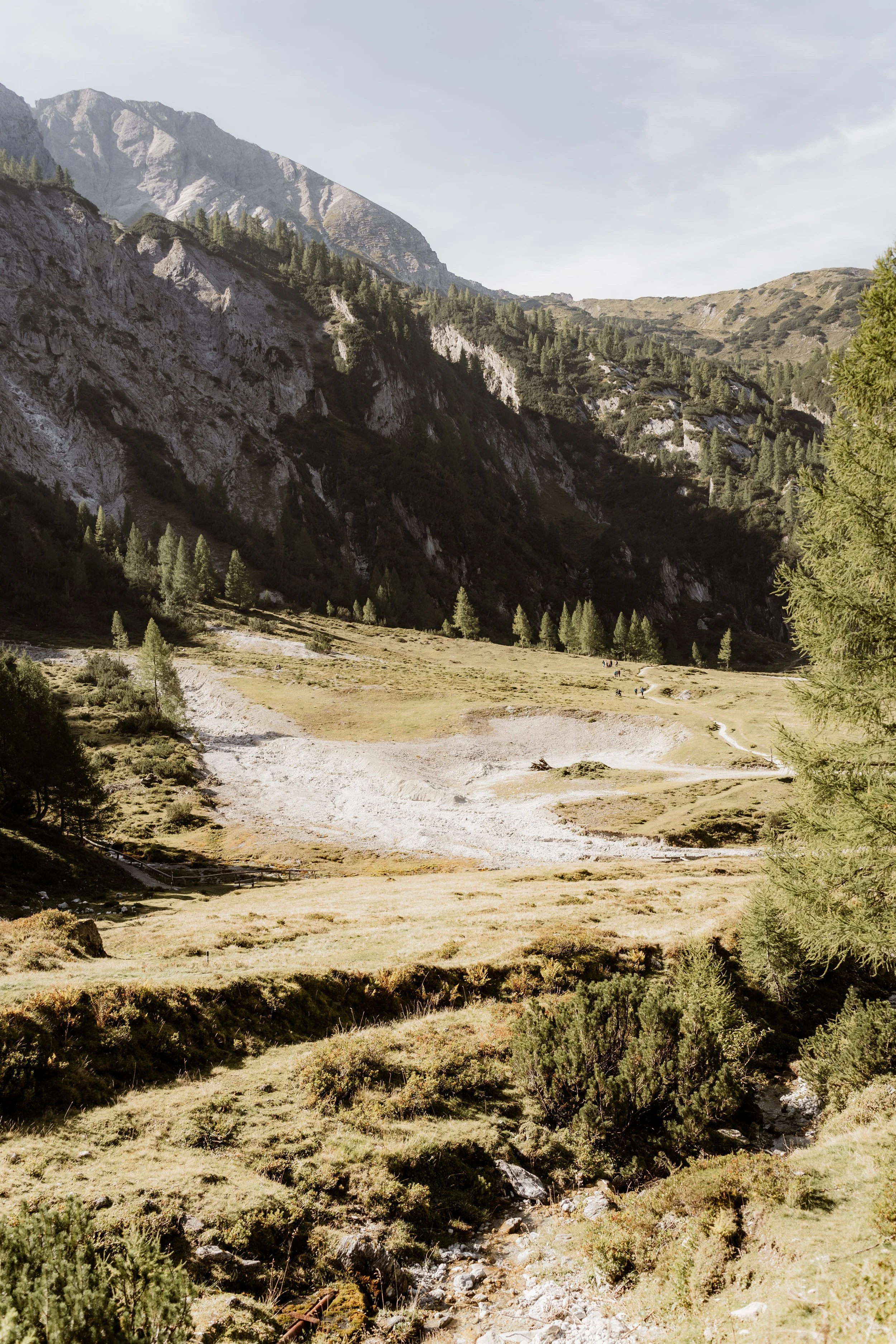 Gebirgstal mit Bäumen, Wiesen und einem Fluss im Vordergrund, steile Felswände und Berge im Hintergrund, bewölkter Himmel.